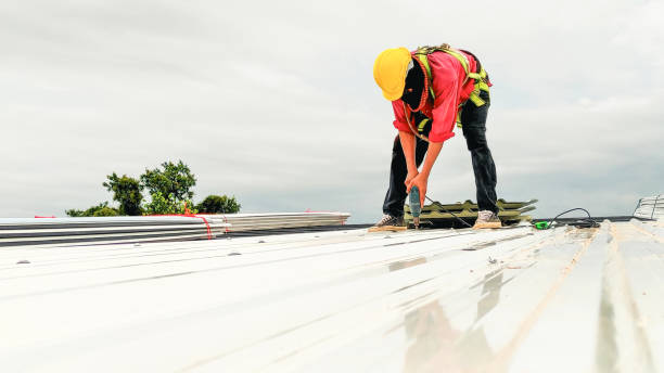 Best Skylight Installation and Repair  in Greenwich, OH