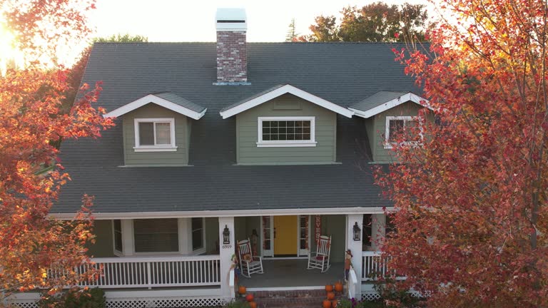 Best Roof Moss and Algae Removal  in Greenwich, OH
